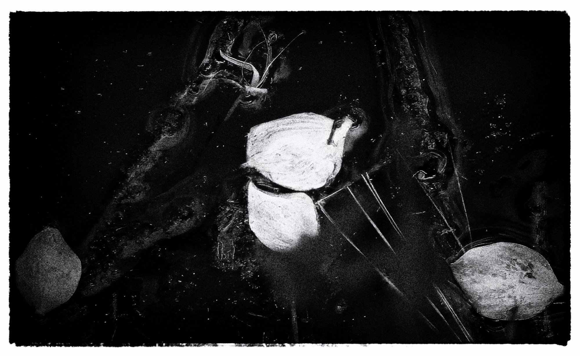 In Their Own World (B&W).jpeg