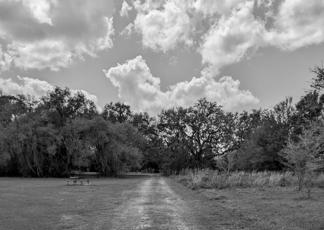 Into the Preserve.jpeg