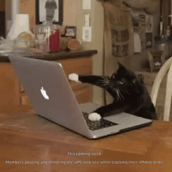 iPhone tracking time - cat.gif