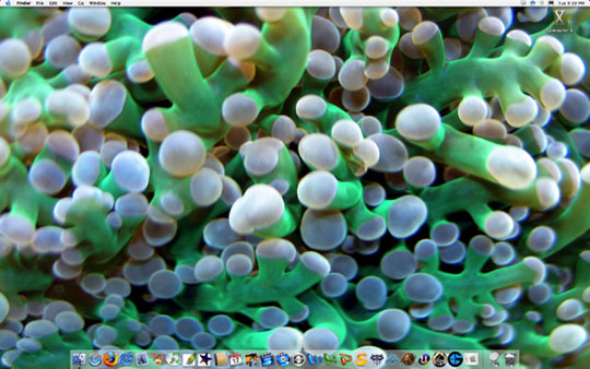 Irie Desktop.jpg