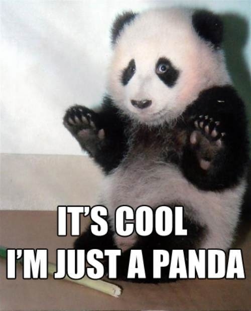 its-cool-im-just-a-panda-4607-1266081857-9.jpg