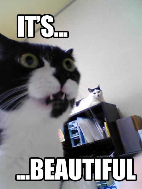 ItsBeautiful.jpg