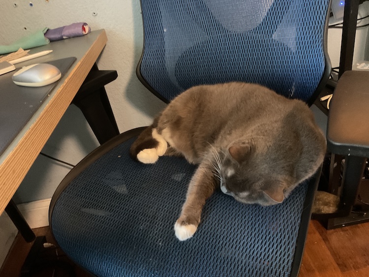 jax comptuer chair.JPG