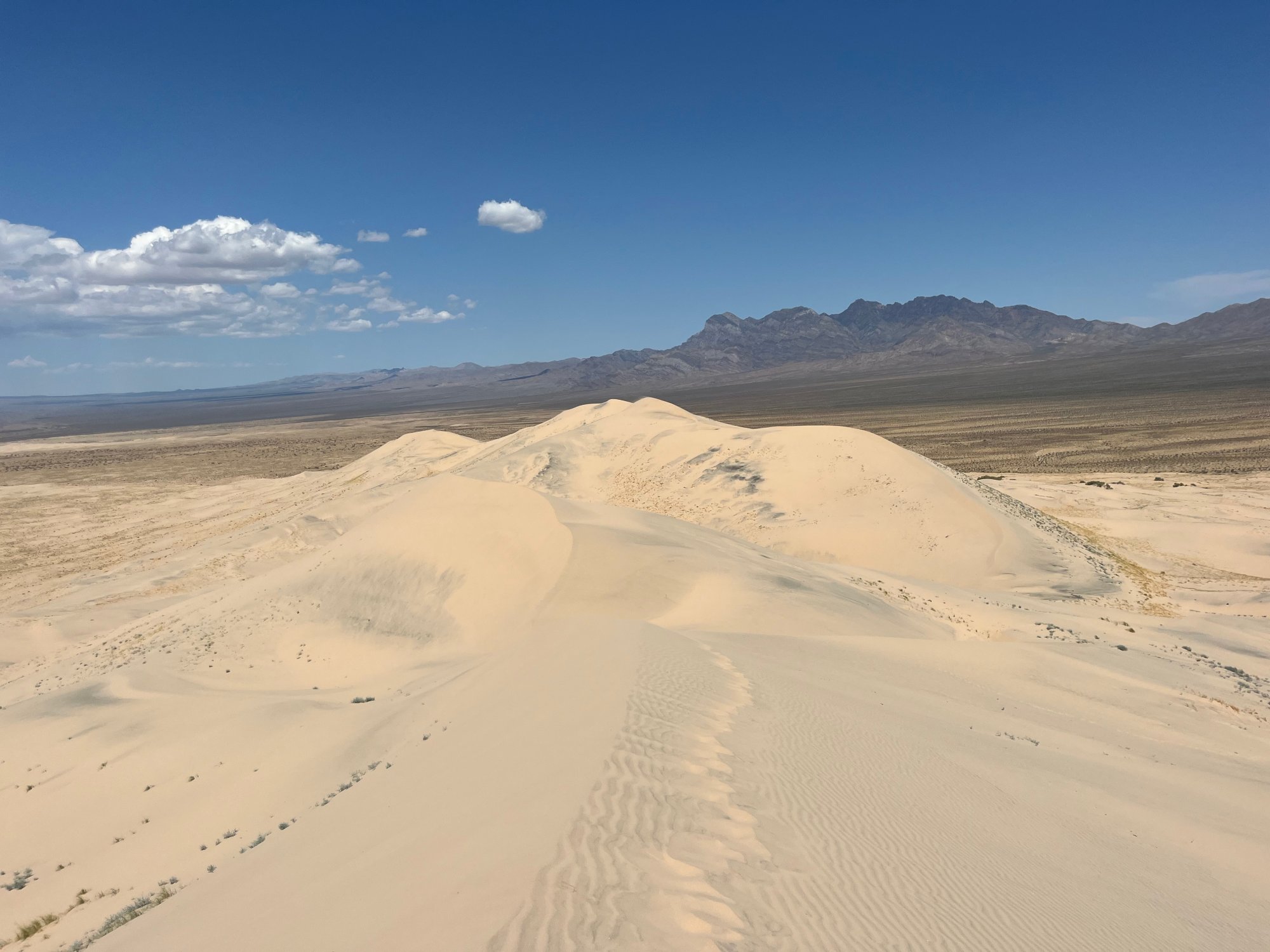 Kelso-Dunes_Summit-Return.jpg