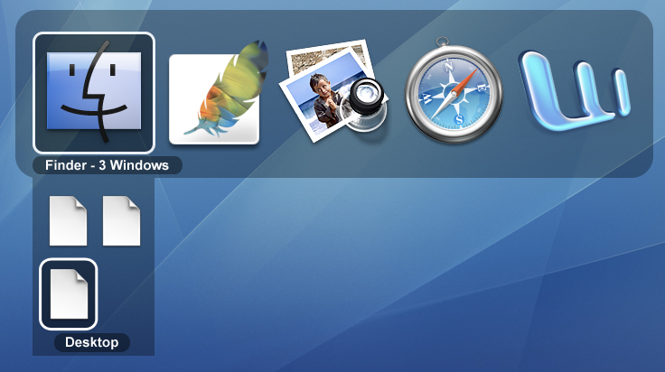 Leopard-Window-Switching.jpg