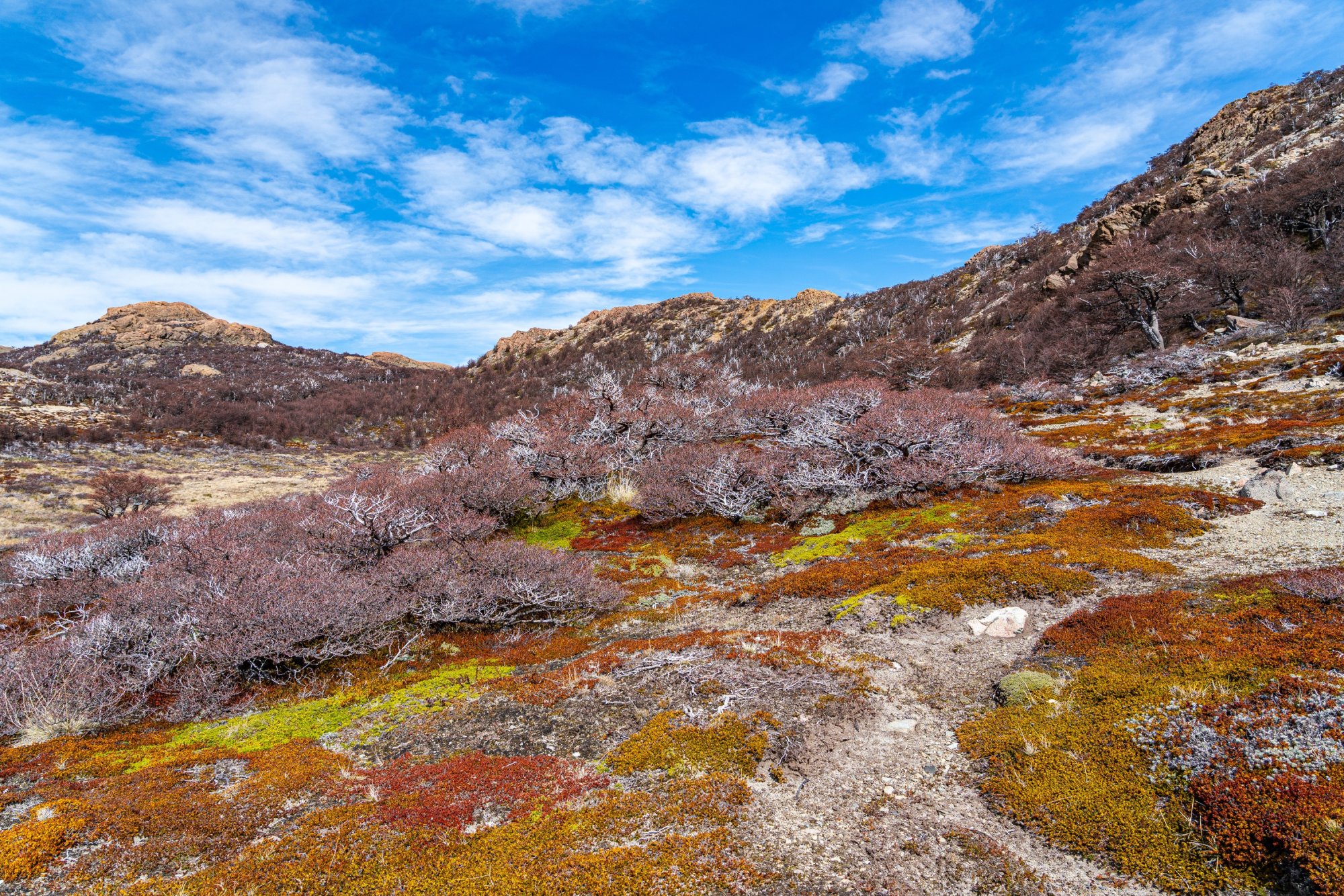 Los Glaciares National Park.jpg