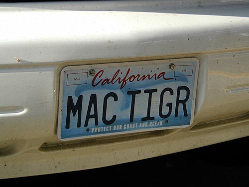 macvan_2_f.jpg