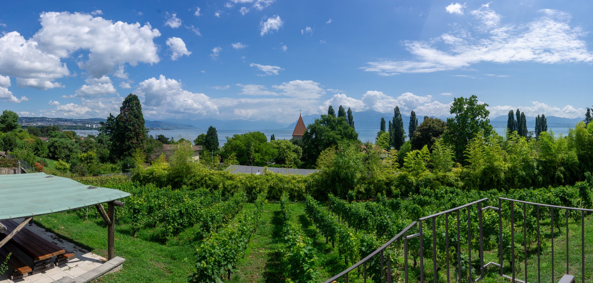 Morge Pano 2500px-1.jpg