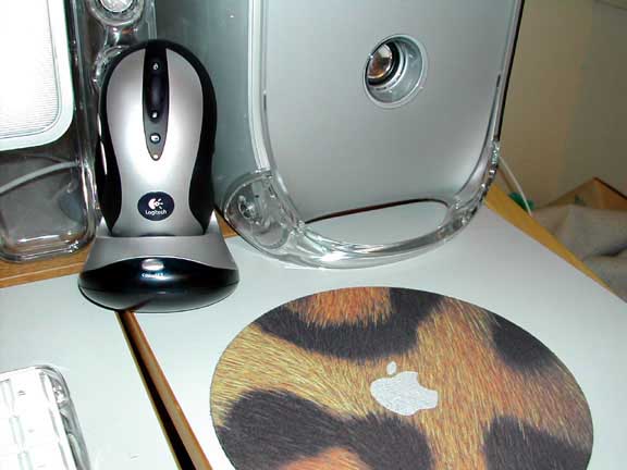 mouse.jpg