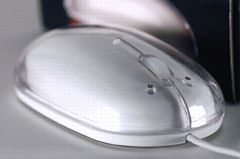 mouse_240_1.jpg