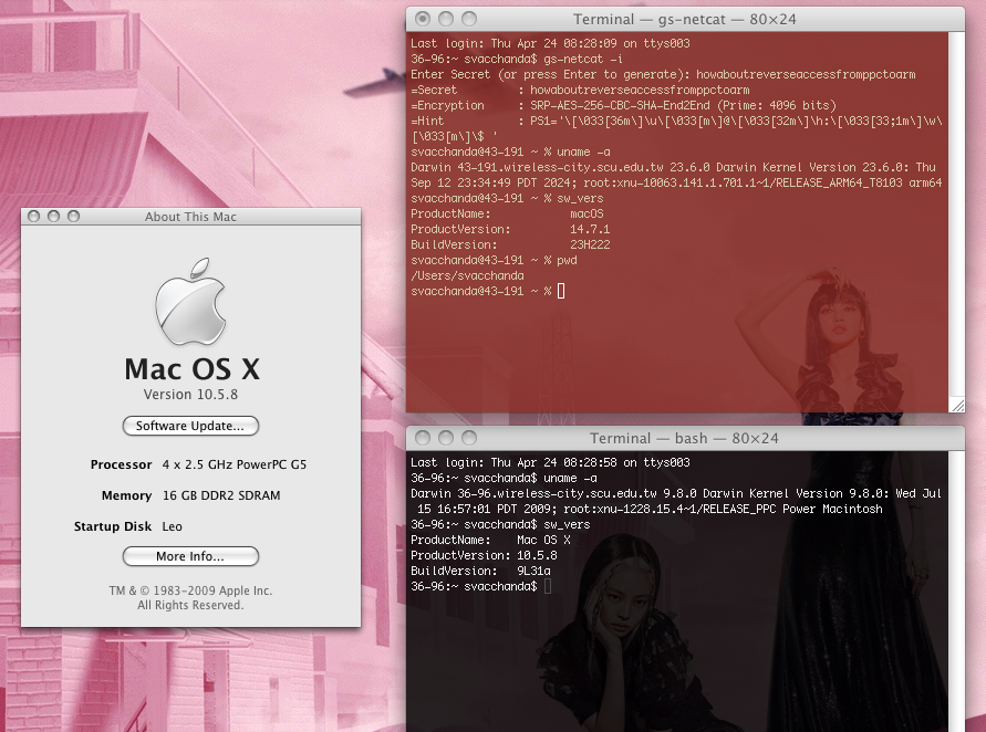 netcat.png