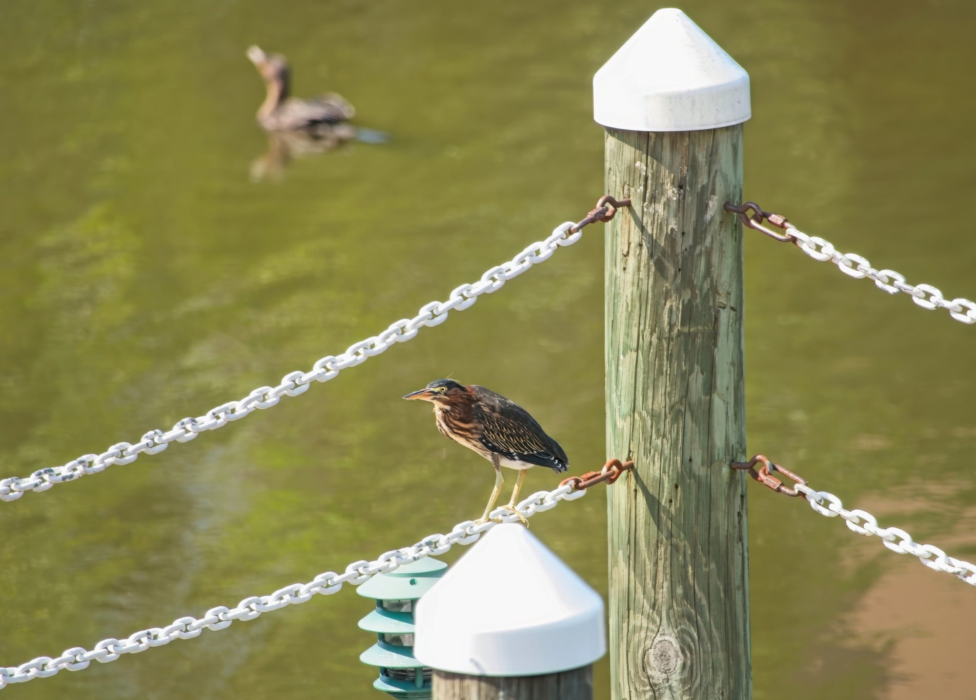 Not Looking at You.jpeg