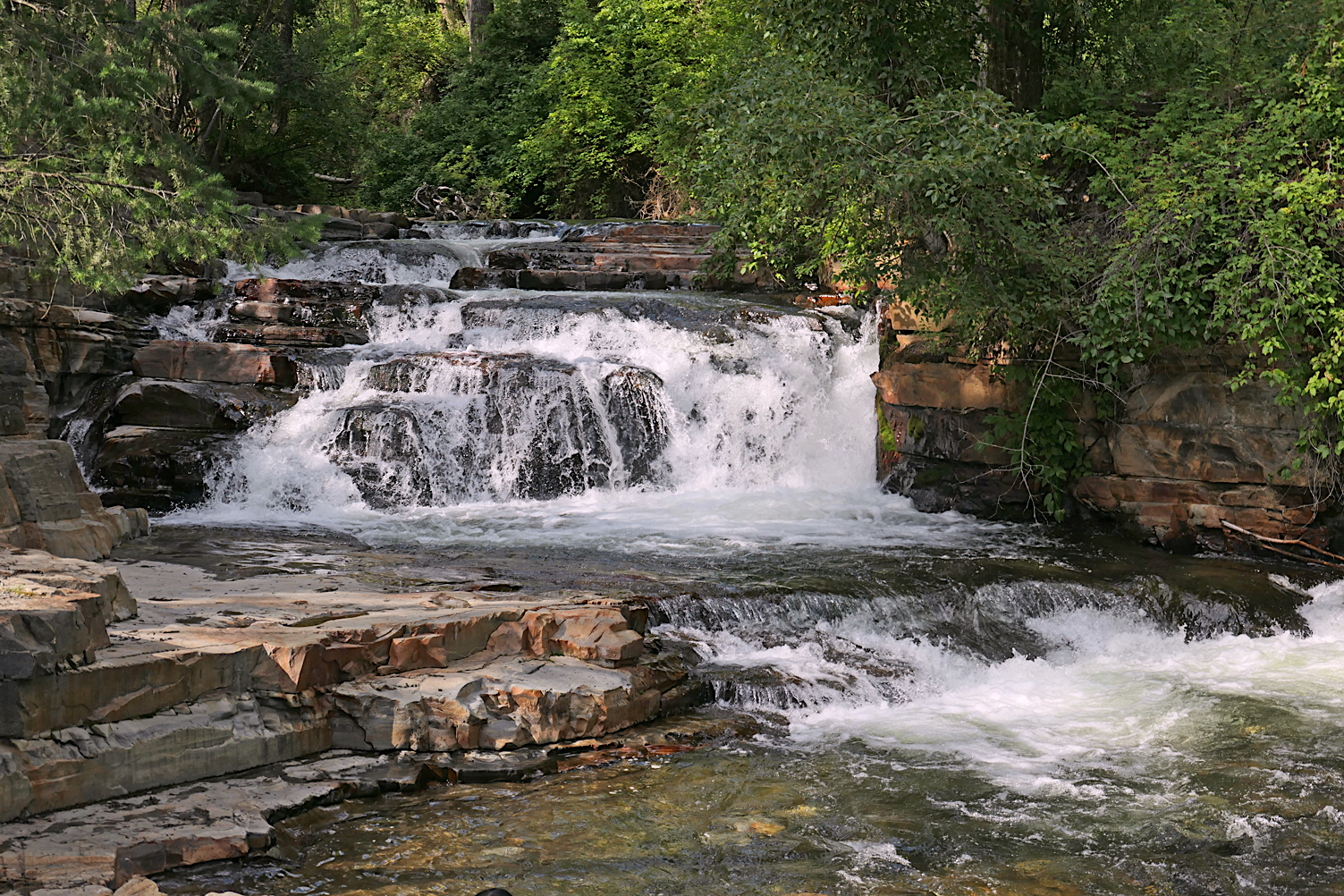 P1000073.jpg