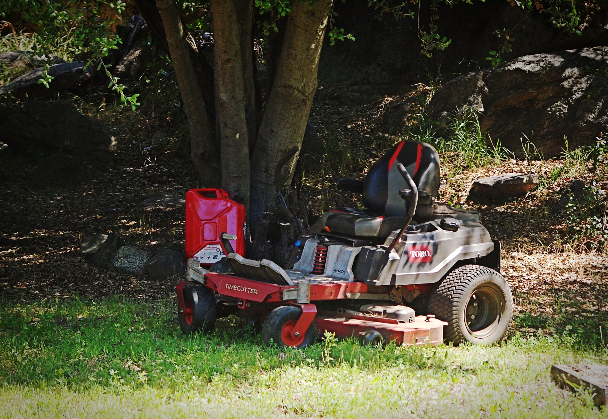 P1014305 xvcropa.jpg