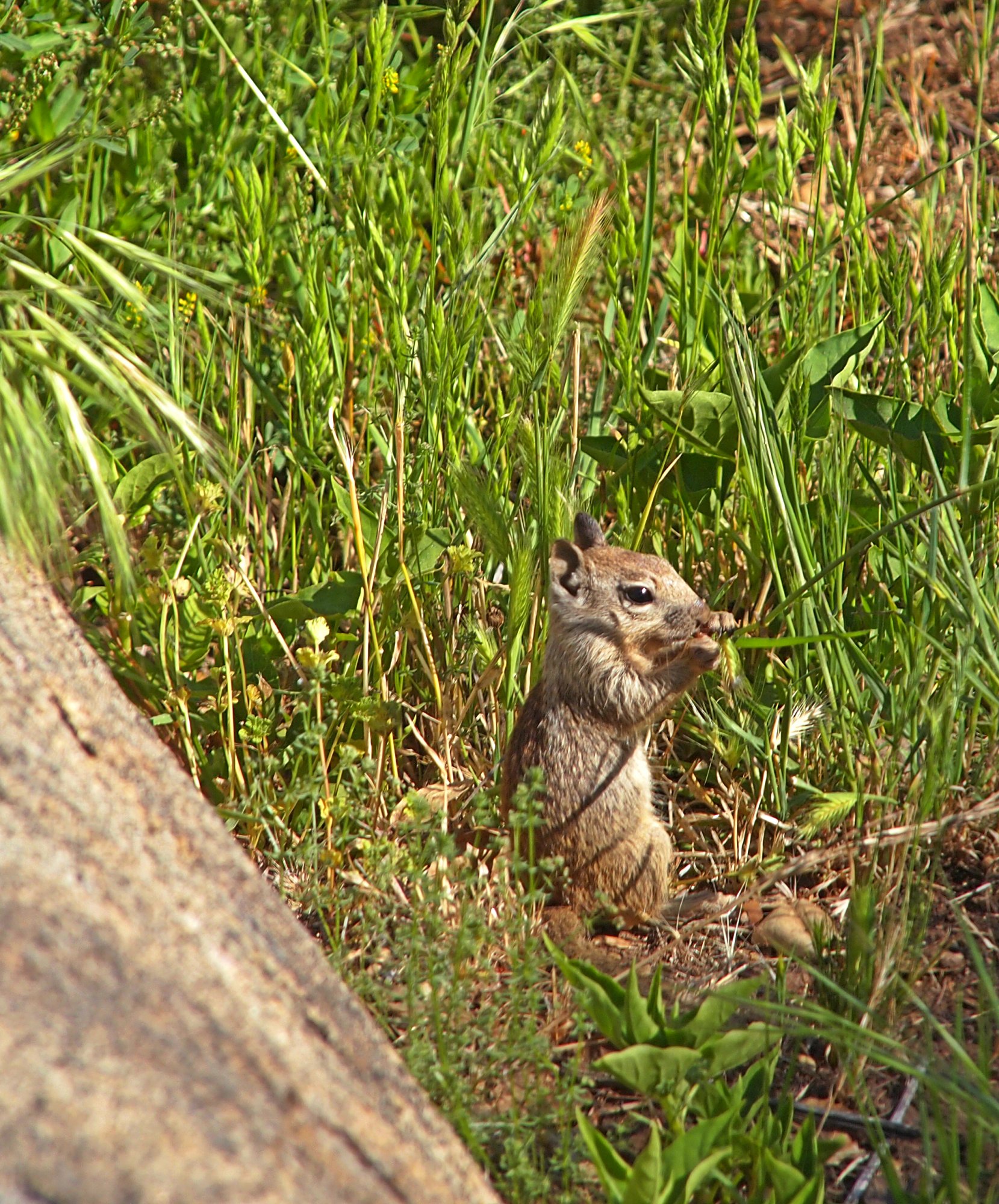 P1014359 x.jpg