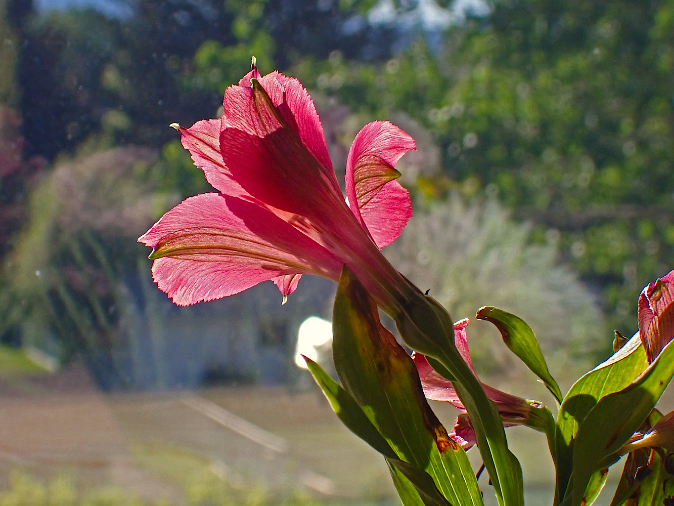 P5300045.jpg