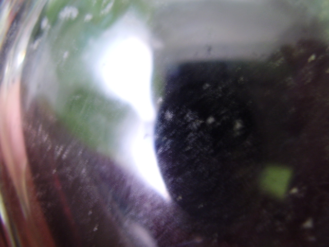 P7100061.JPG