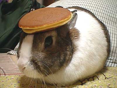 pancake_bunny.jpg