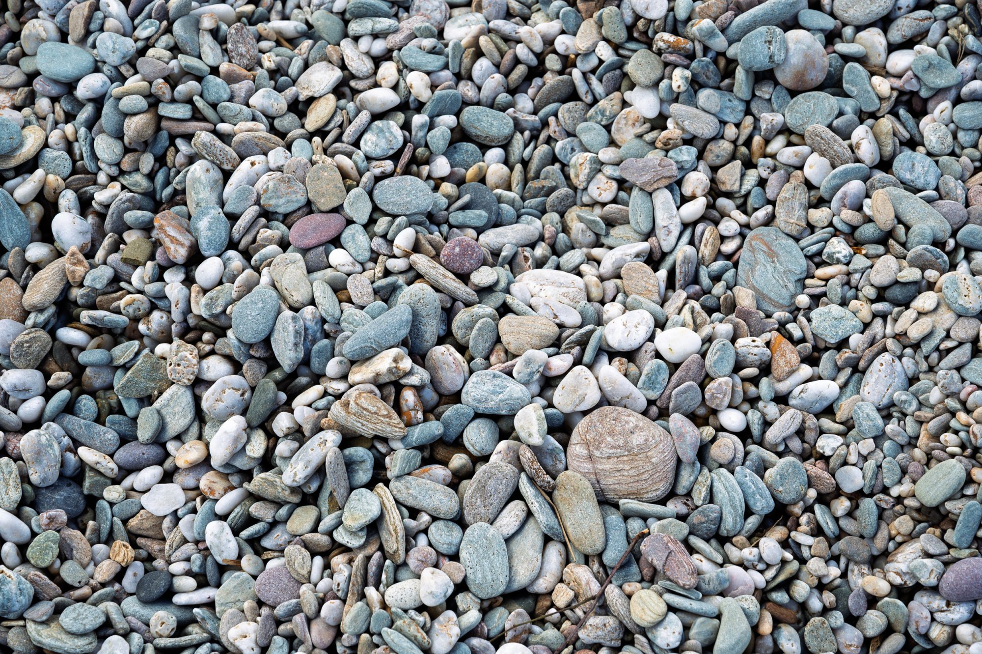 Pebbles20220510.jpg