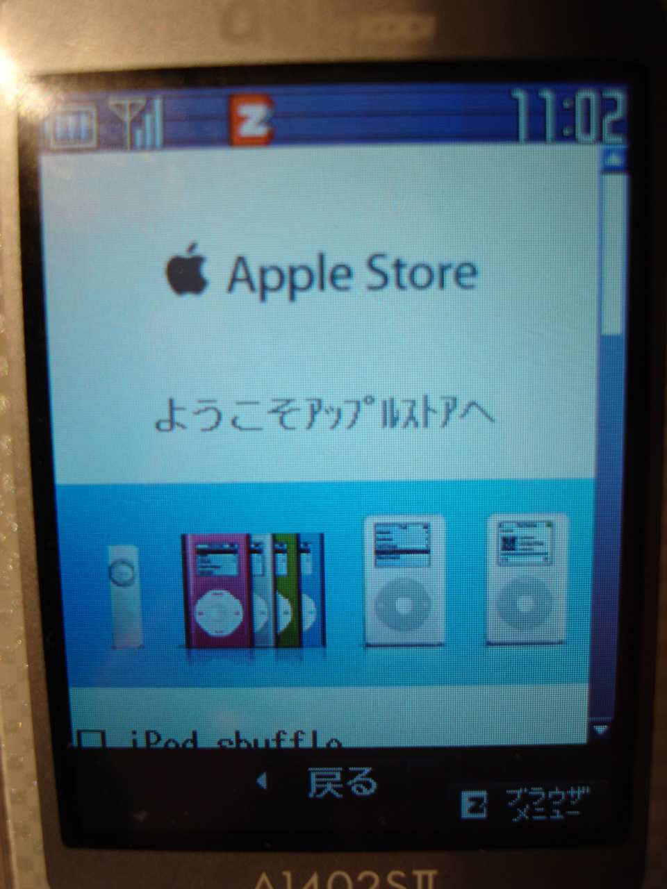 pic2.jpg