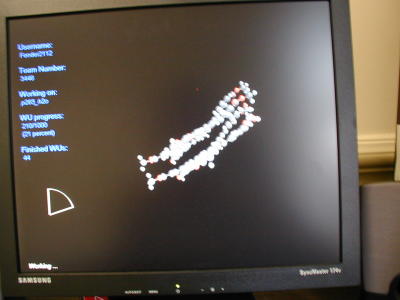 Pic3.JPG