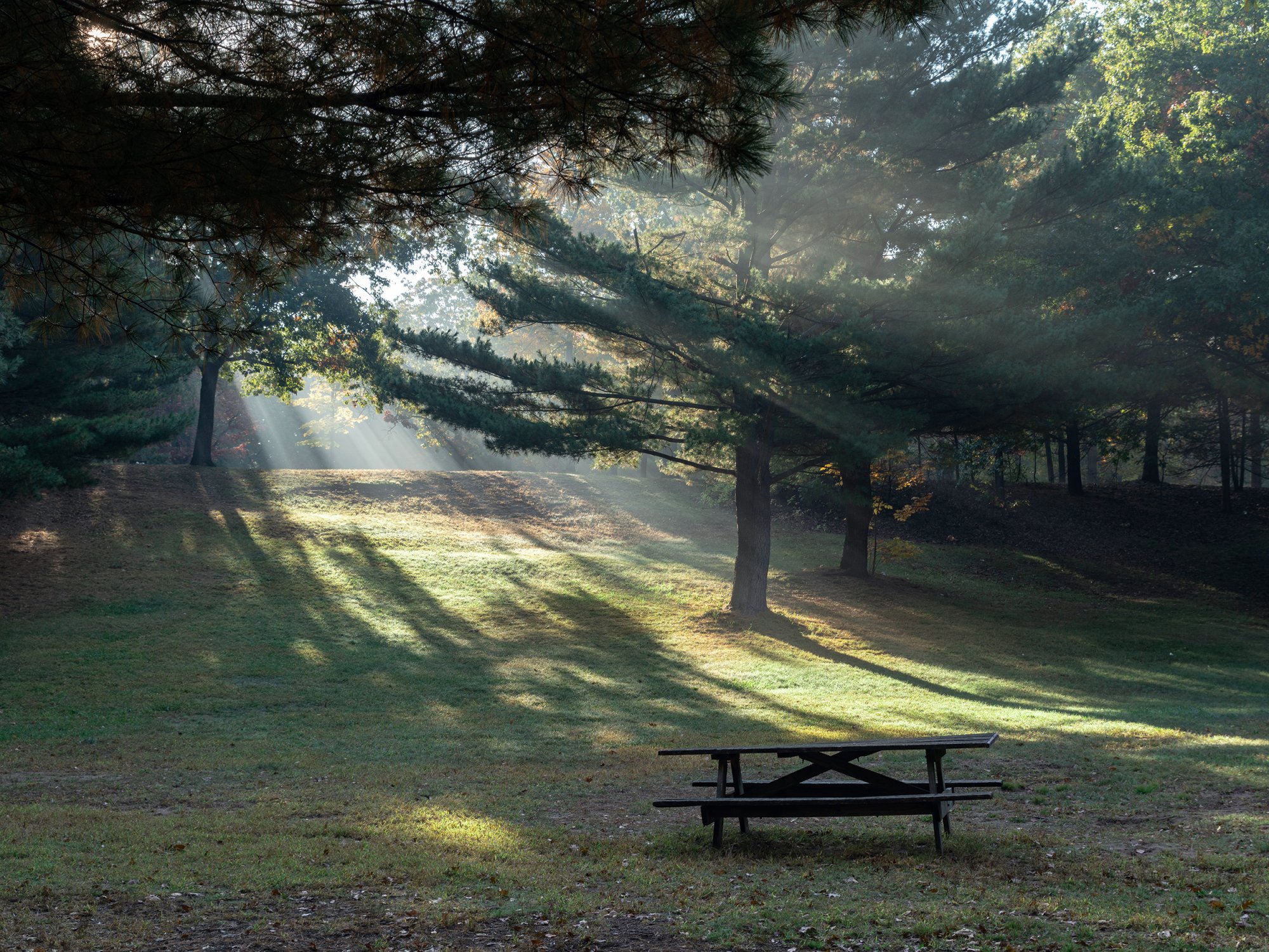 Picnic 4x3 2500px.jpg