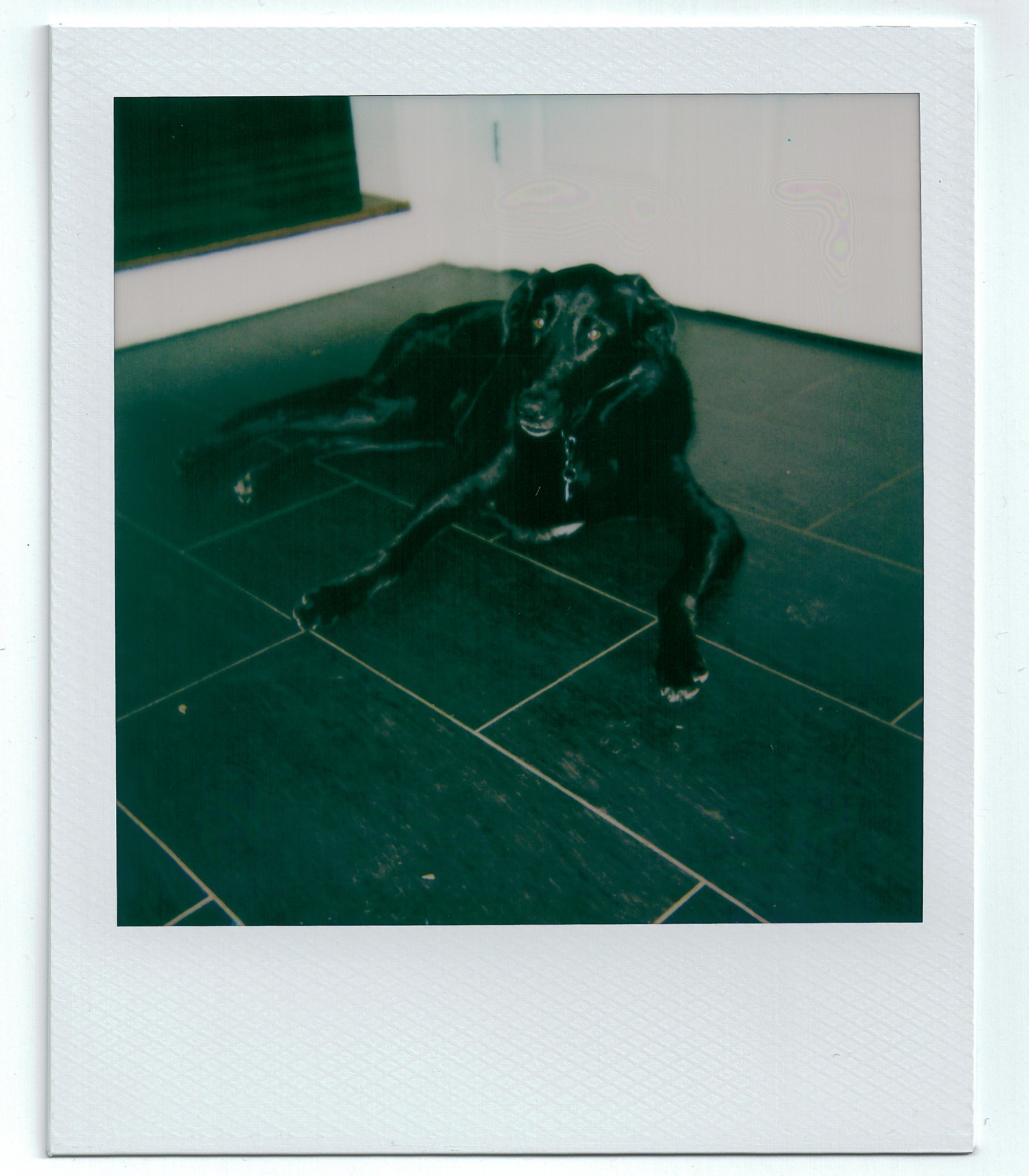 PolaroidSupercolor635CL_2025_Image_10-positive.jpg