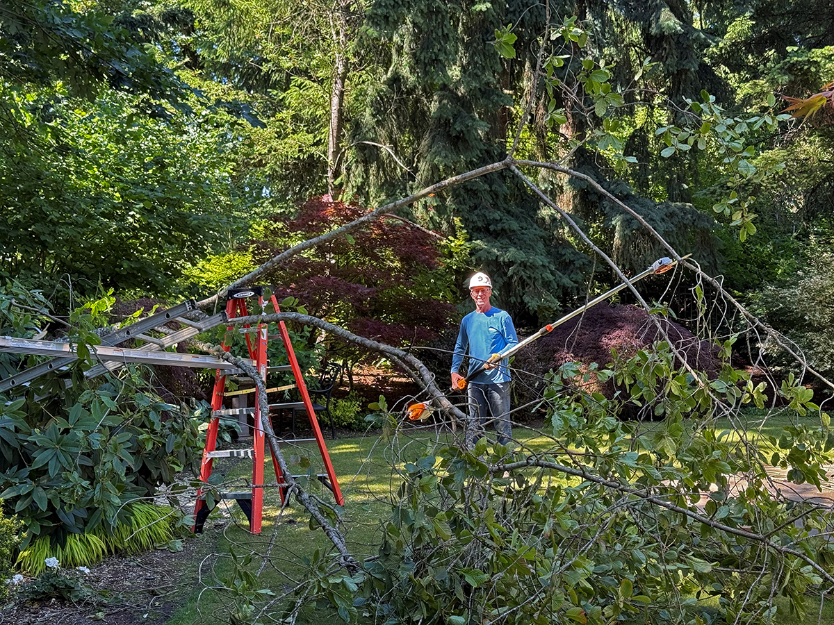 Pole Trimmer_Stihl_HTA_135_1200p.jpg
