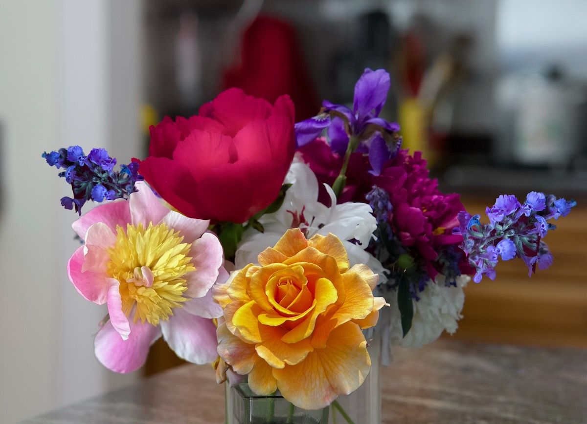 POTD June - 1_a 2.jpeg