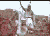 rabbit.gif
