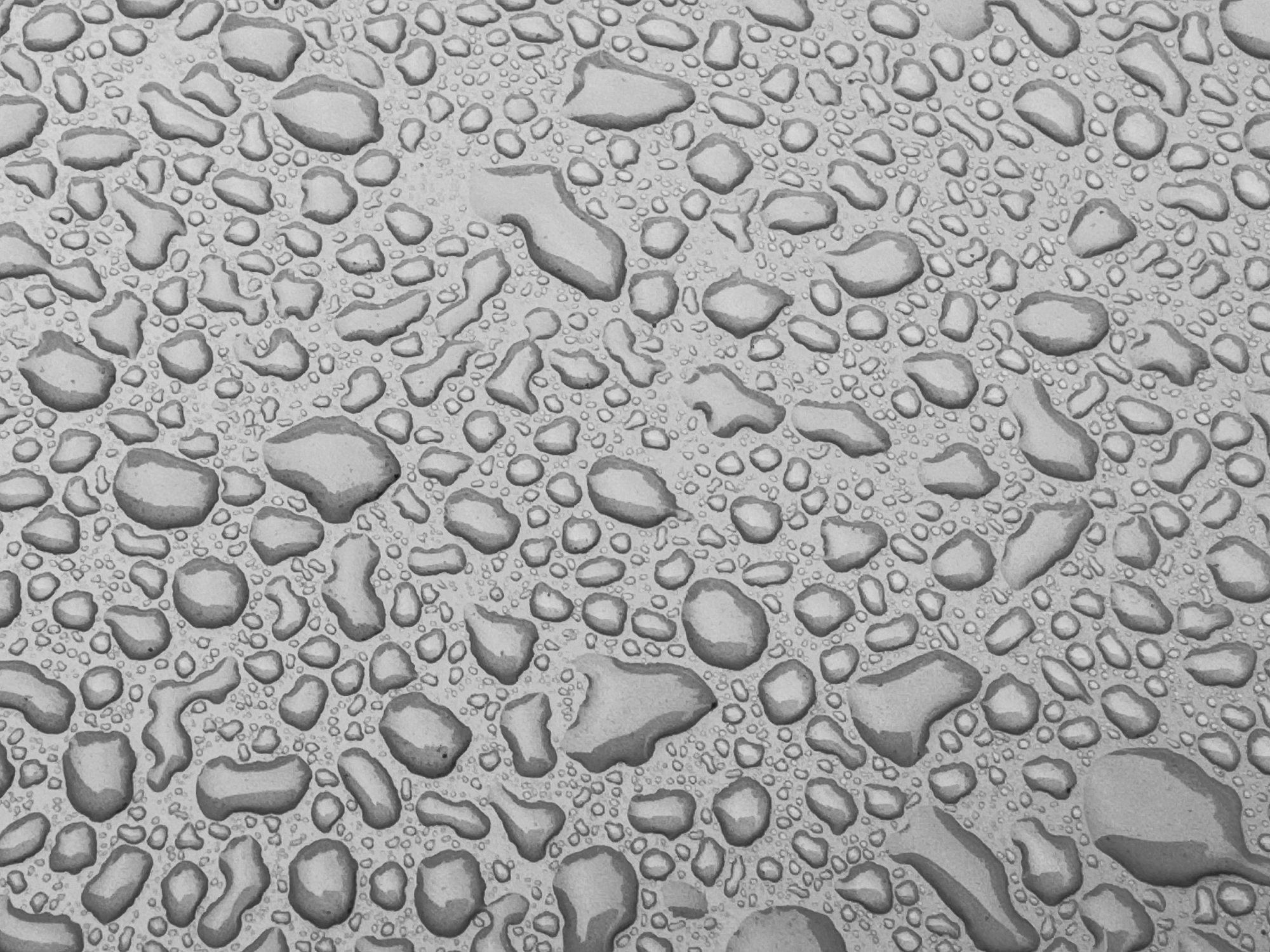 Rain20250624.jpg
