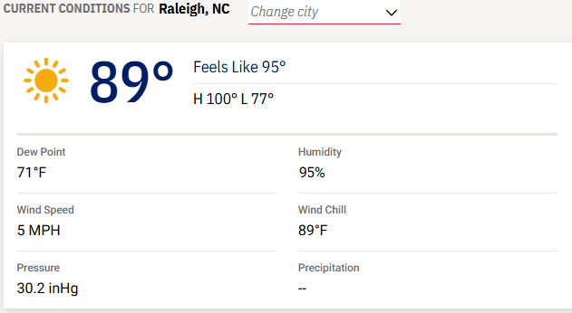 Raleigh Temp.png