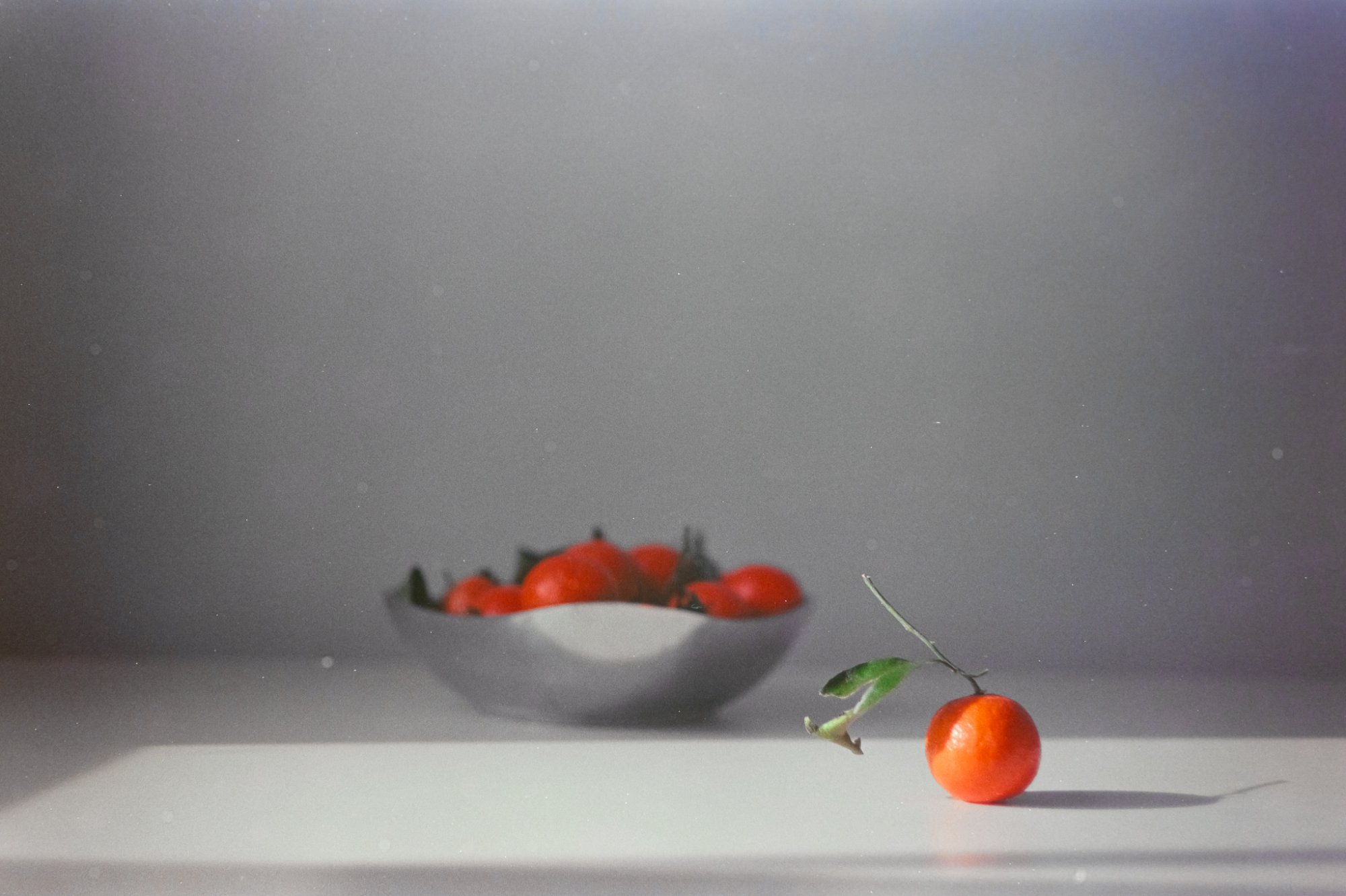 Roll _1_LeicaM3_2025_Image_11-positive.jpg