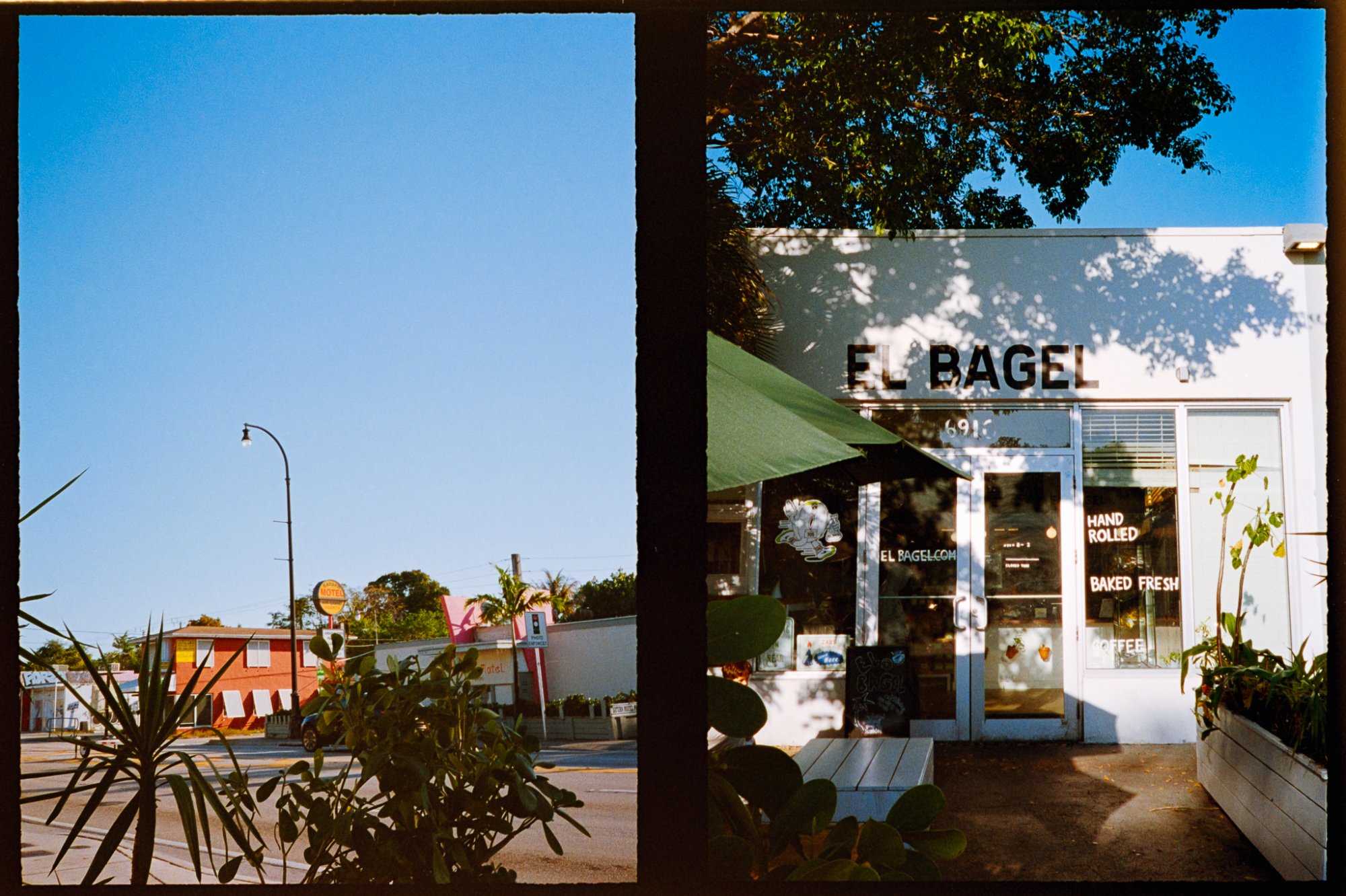 Roll _2_Pentax17_2025_Image_33-positive.jpg