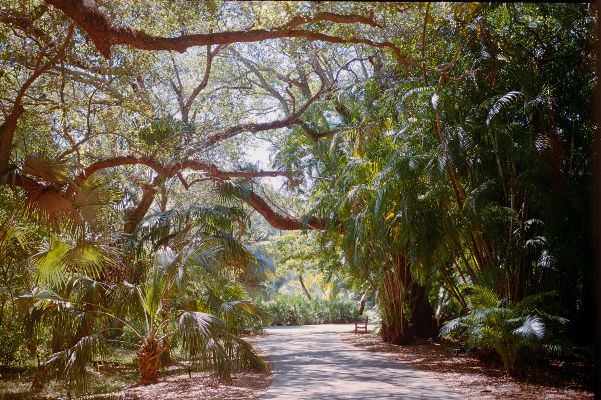 Roll _3_LeicaM3_2025_Image_25-positive.jpg