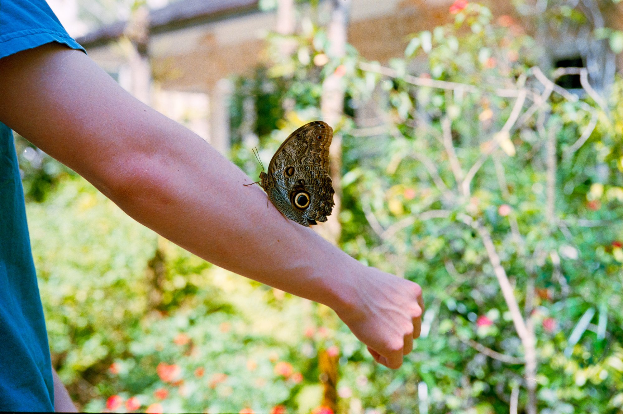 Roll _3_LeicaM3_2025_Image_32-positive.jpg