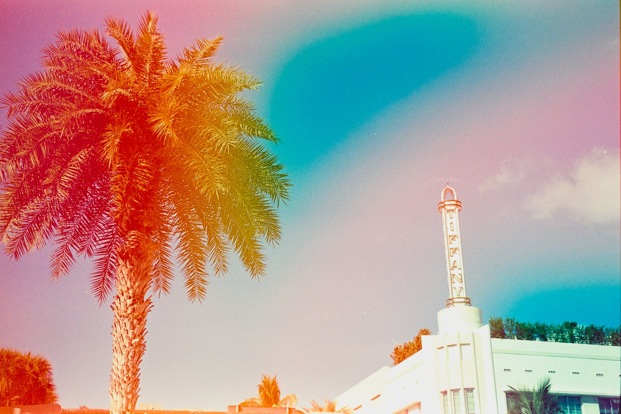 Roll _4_LeicaM3_2025_Image_16-positive.jpg