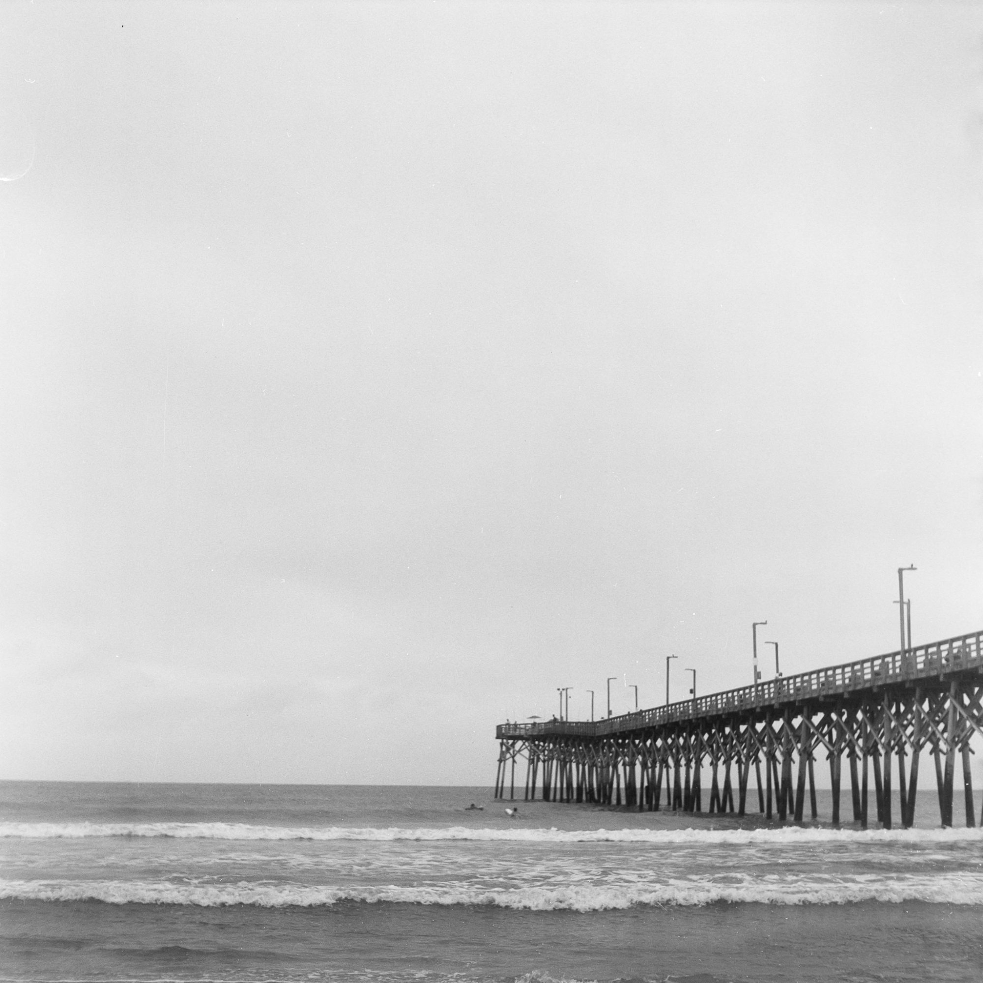 Roll _8_YashicaMat124_2025_Image_08-positive.jpg