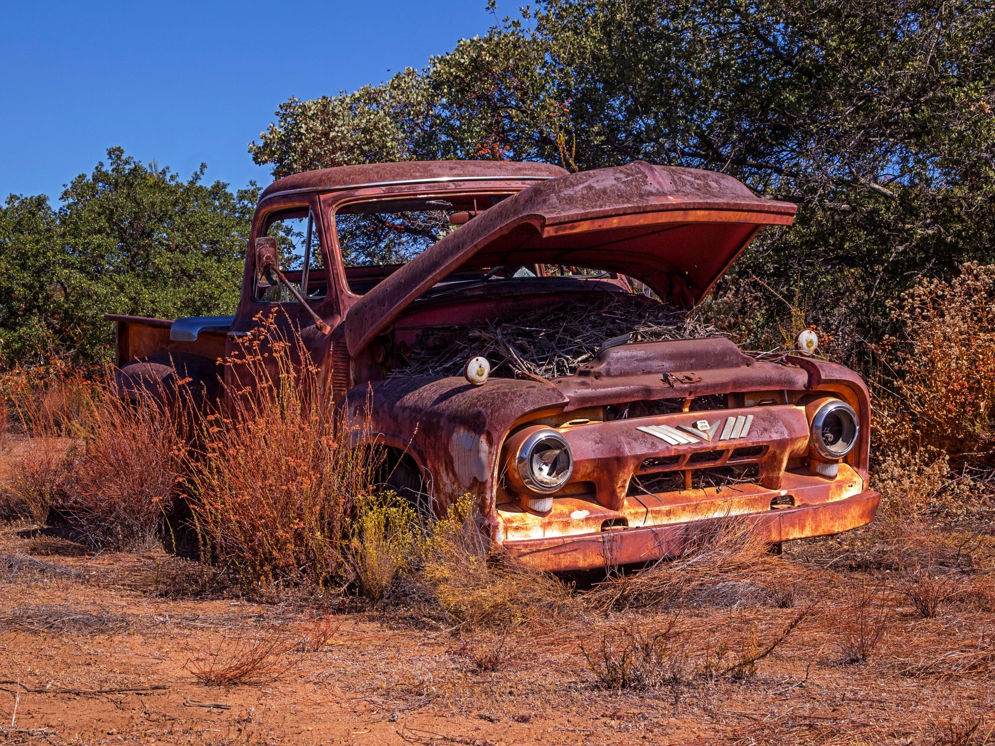 rusty truck 1086 rw 8.29.22 x.jpg