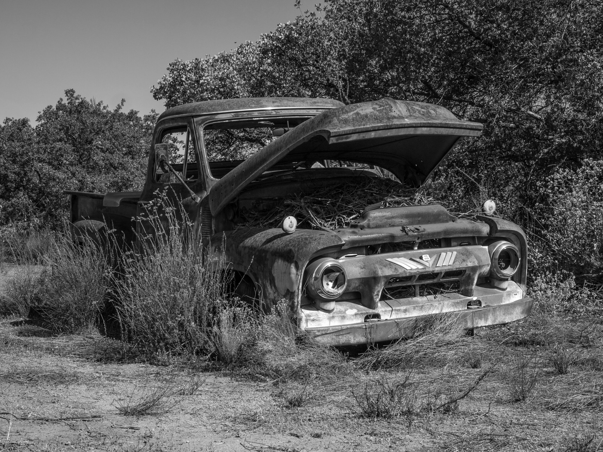 rusty truck 1086 rw 8.29.22 xbw.jpg
