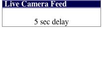 safari.jpg