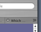 safari001.jpg
