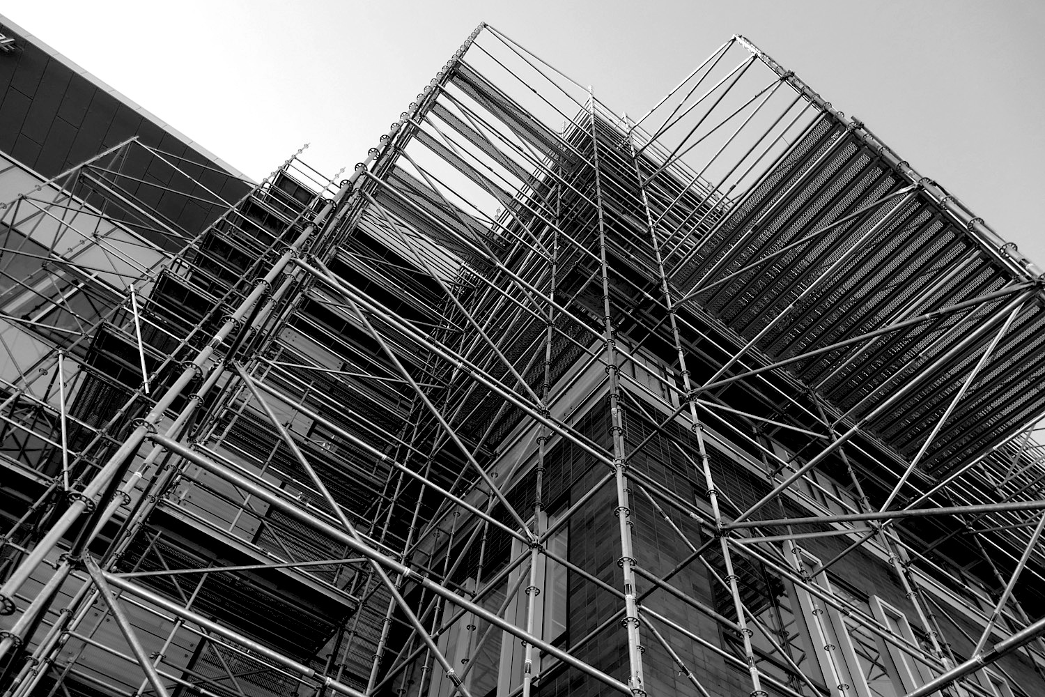 Scaffold_L726.jpg