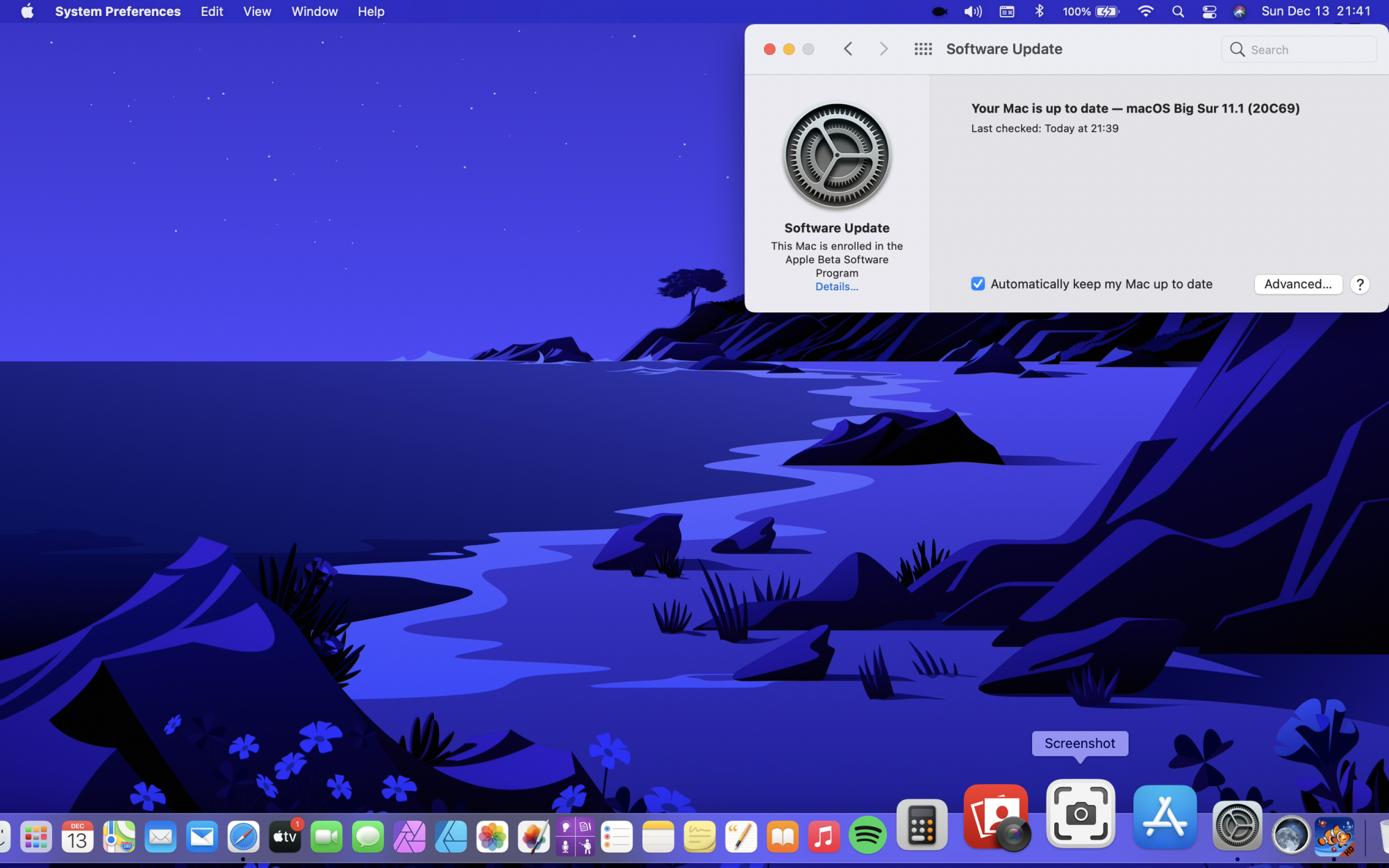 Screen Shot 2020-12-13 at 21.41.59.png