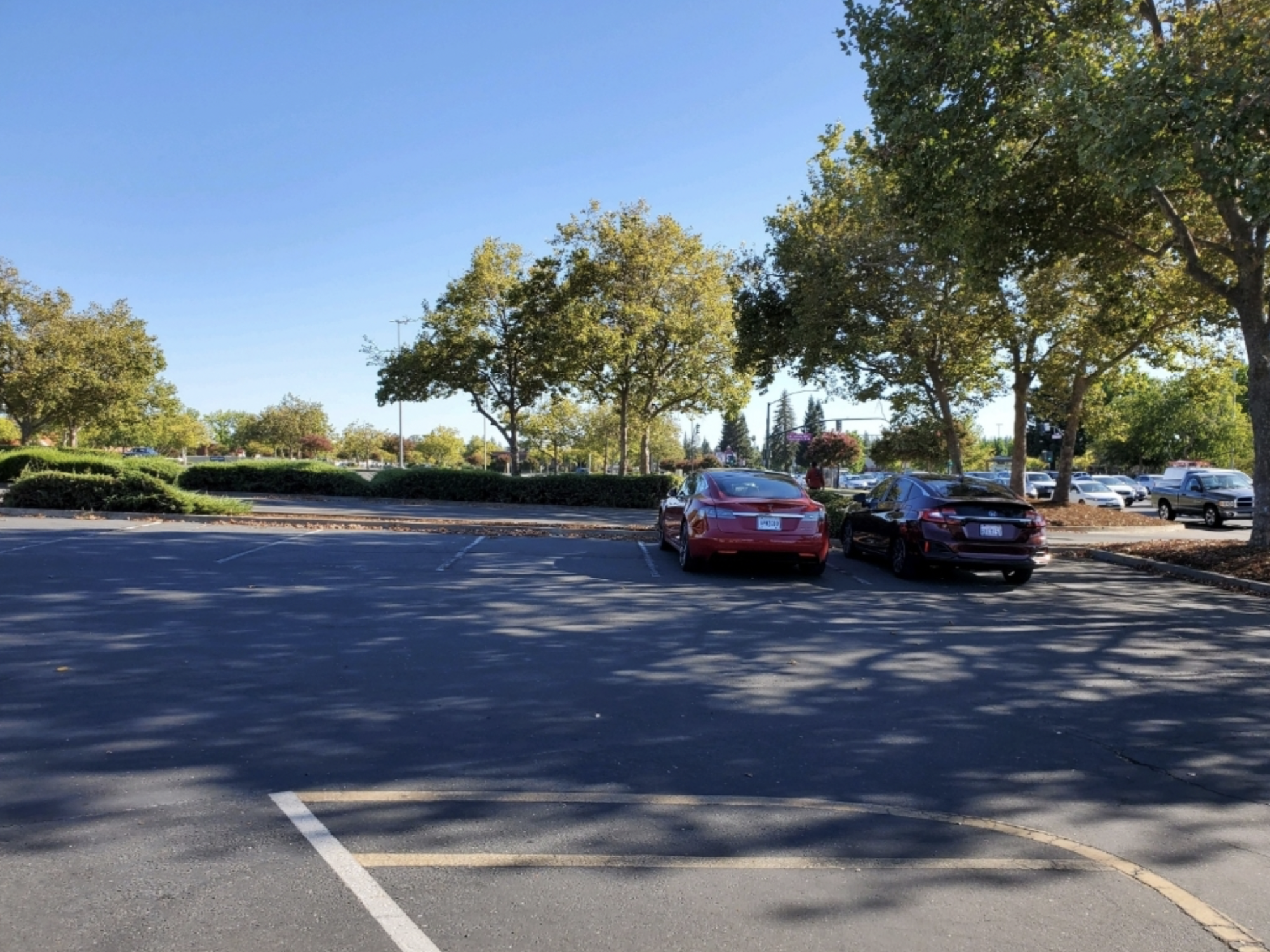 Screen Shot 2021-08-16 at 3.52.18 PM.png