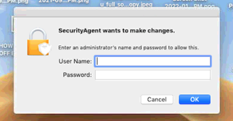 Screen Shot 2024-02-03 at 2.28.50 PM.png