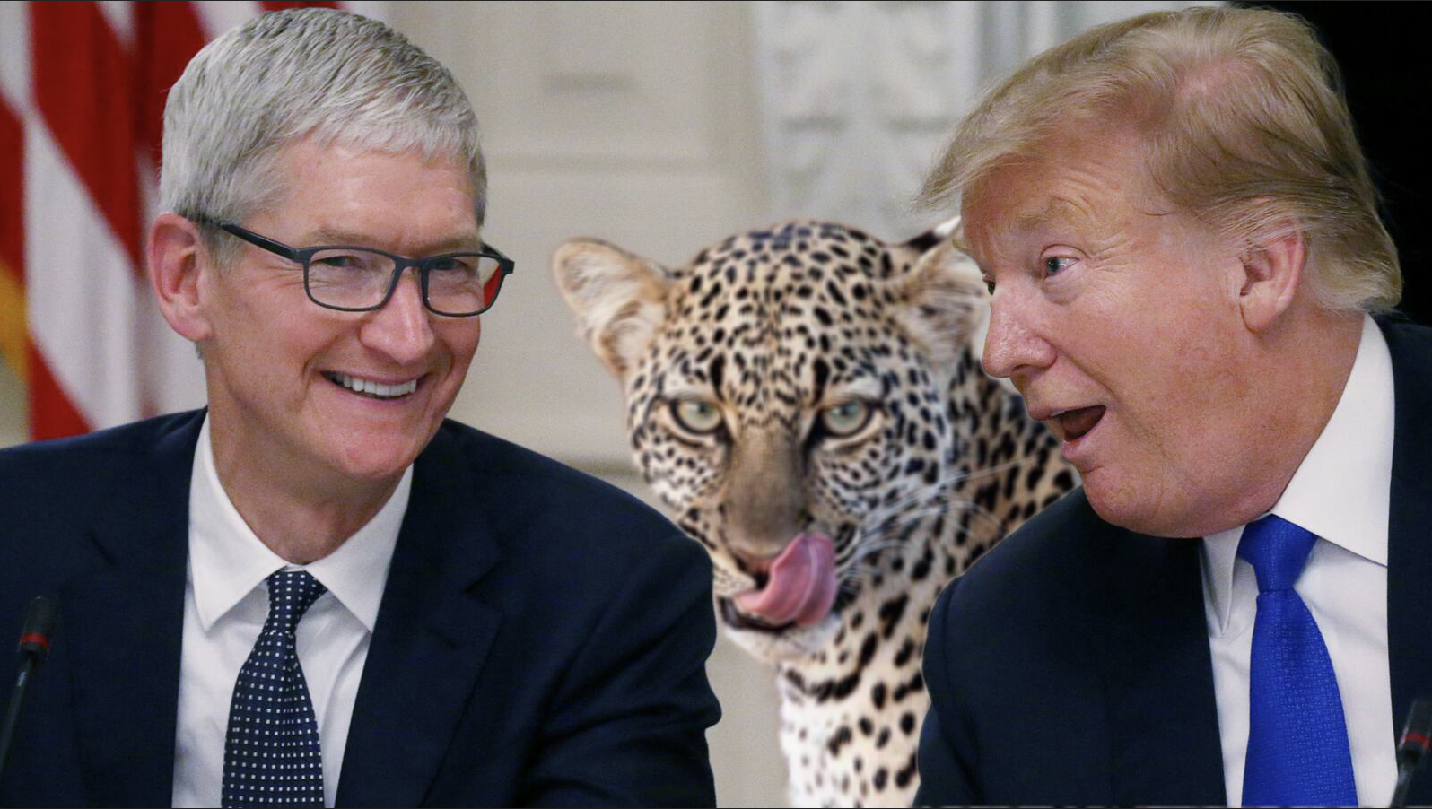 Screen Shot 2025-04-04 at 11.52.01 AM.png