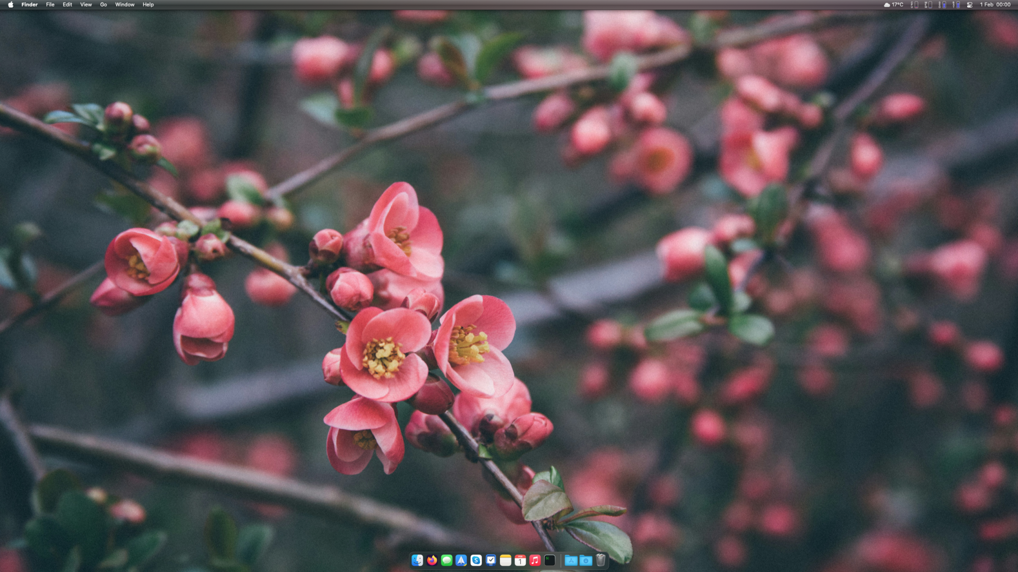 Screenshot 2025-02-01 at 00.00.09.png