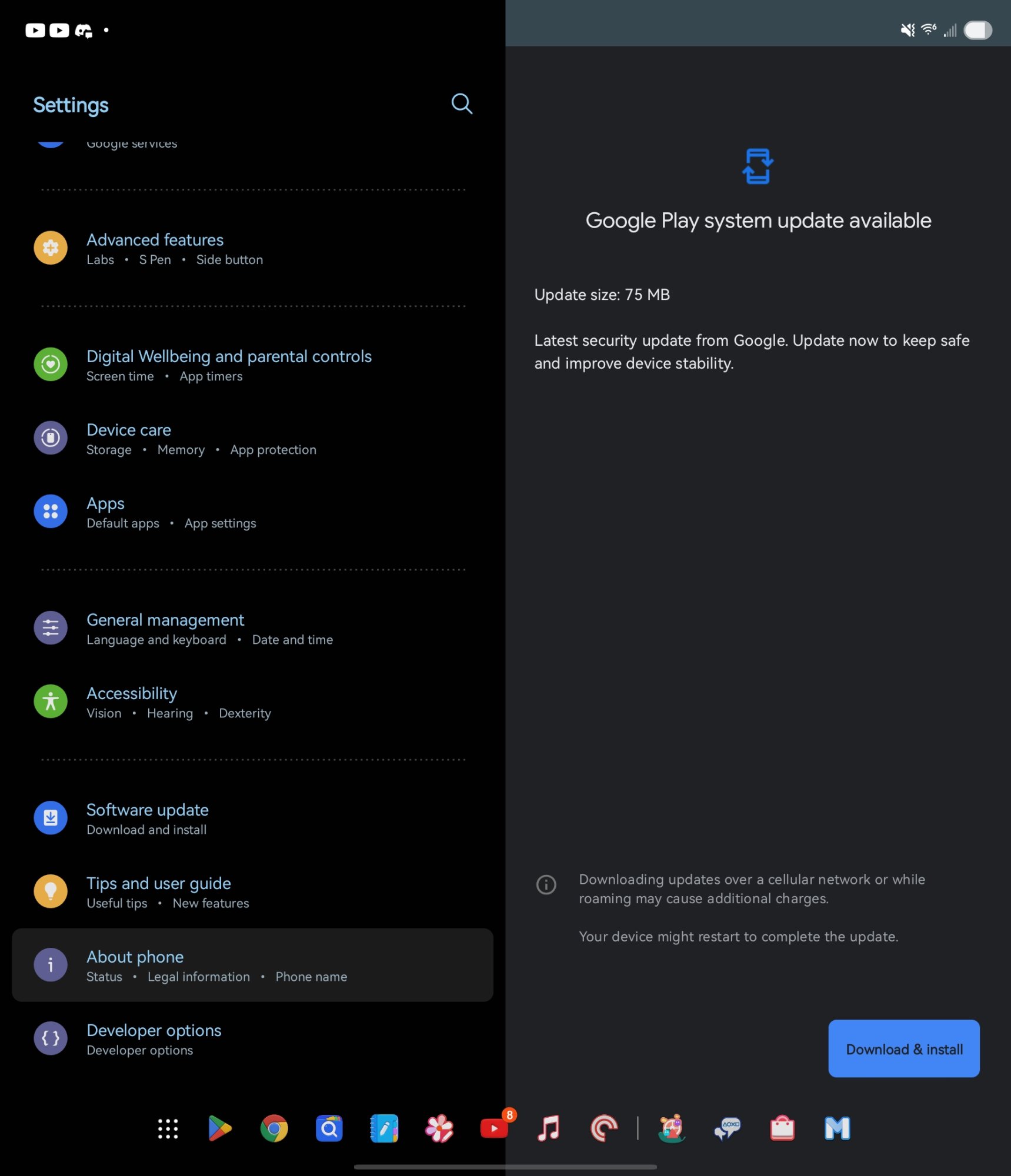 Screenshot_20250724_125958_Google Play Store.jpg