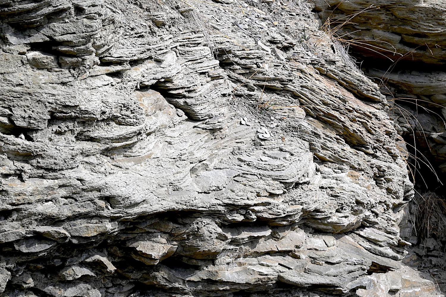 Sedimentary_0038A.jpg